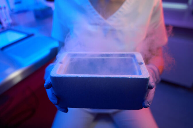 Egg Freezer