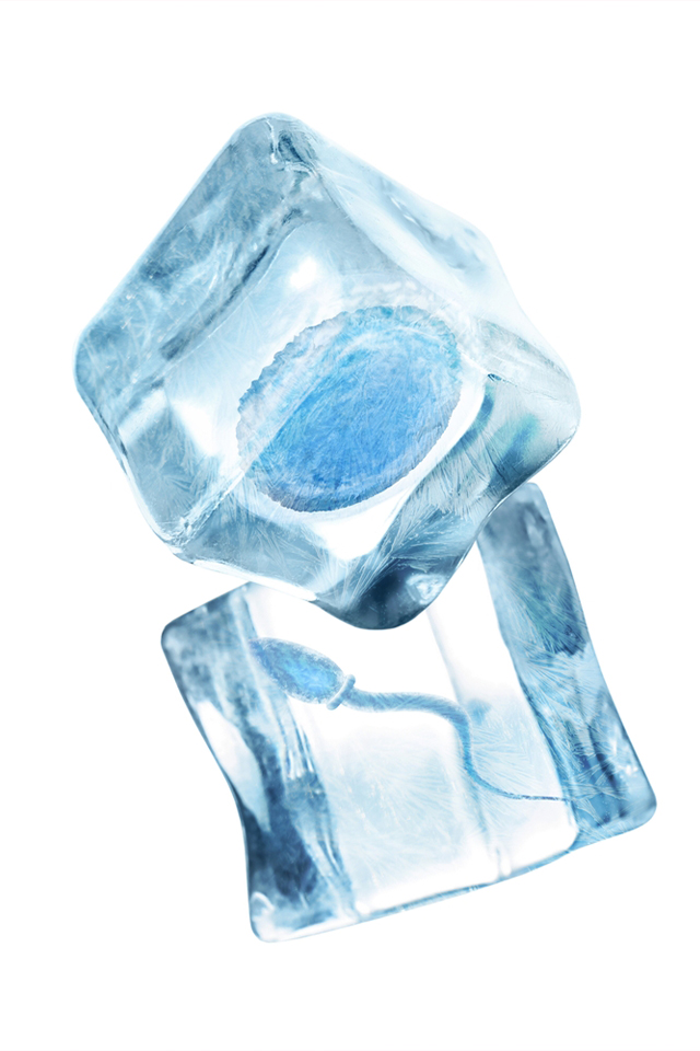 Egg Freezing