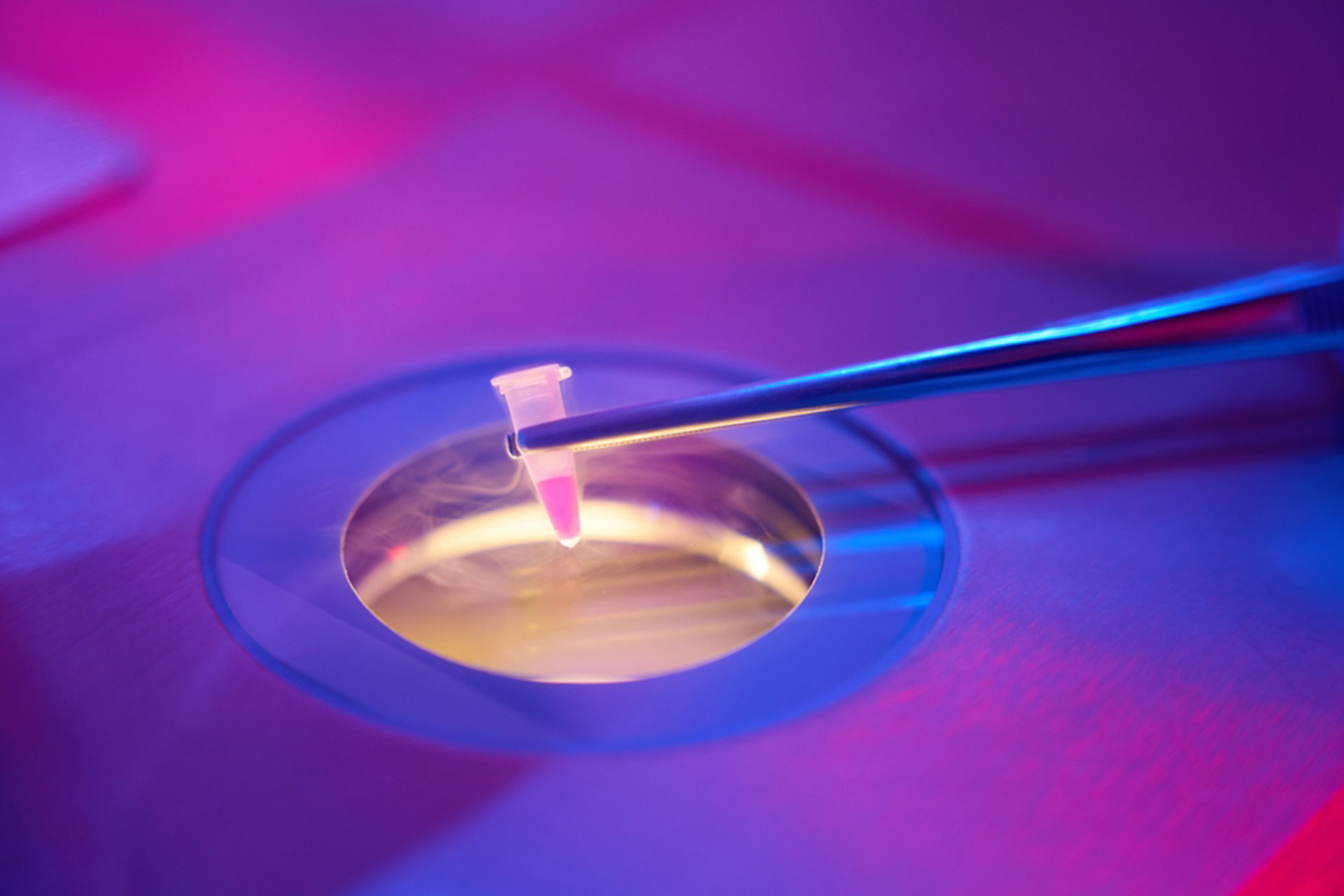 Egg Freezing at Lab
