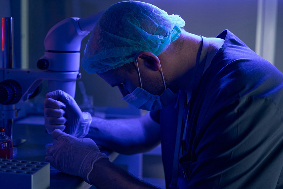 Embryo transfer