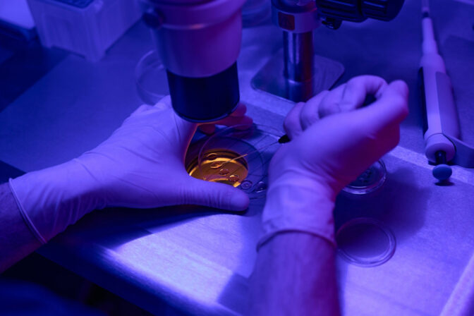 Embryo transfer