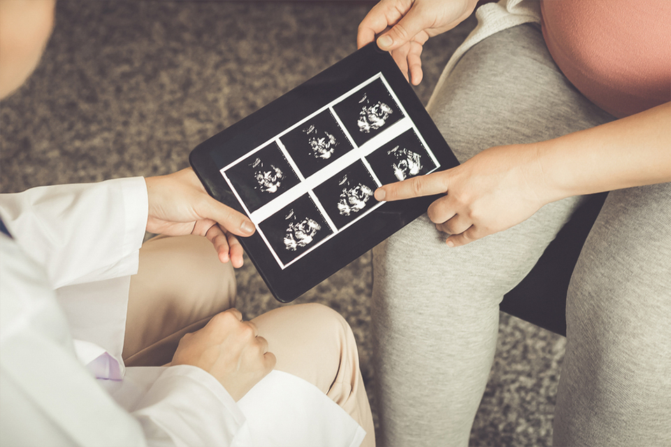 Fertility diagnosis