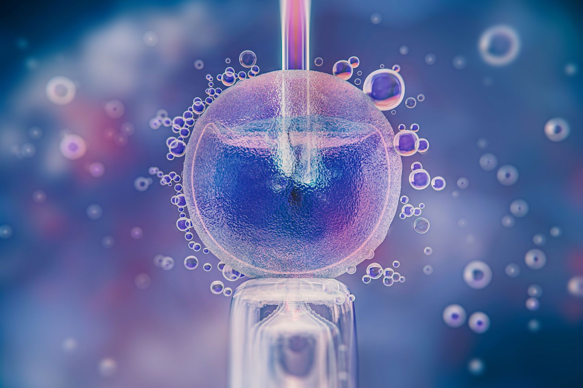 IVF for Conceive fertility care