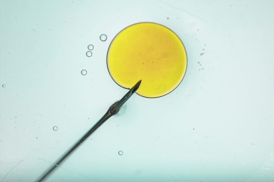 IVF