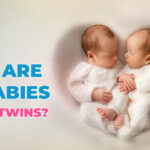 Why are IVF babies mostly twins